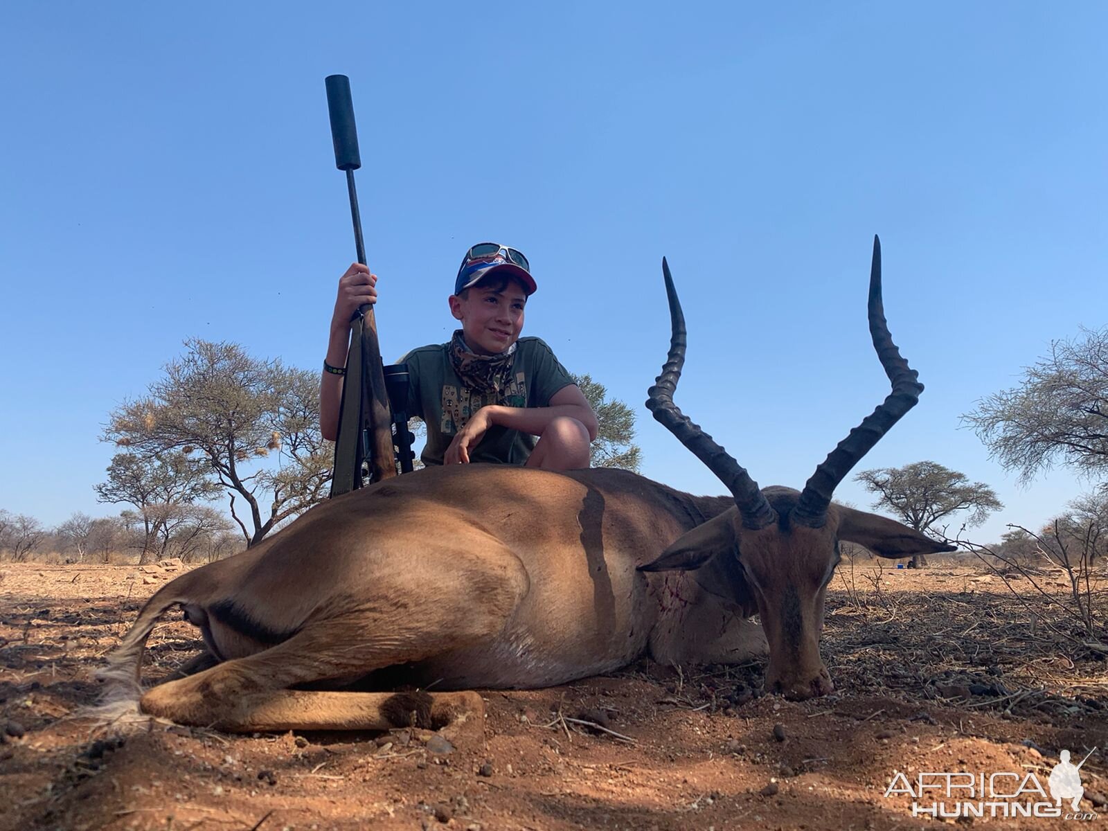 Impala Hunting Limpopo Povince South Africa