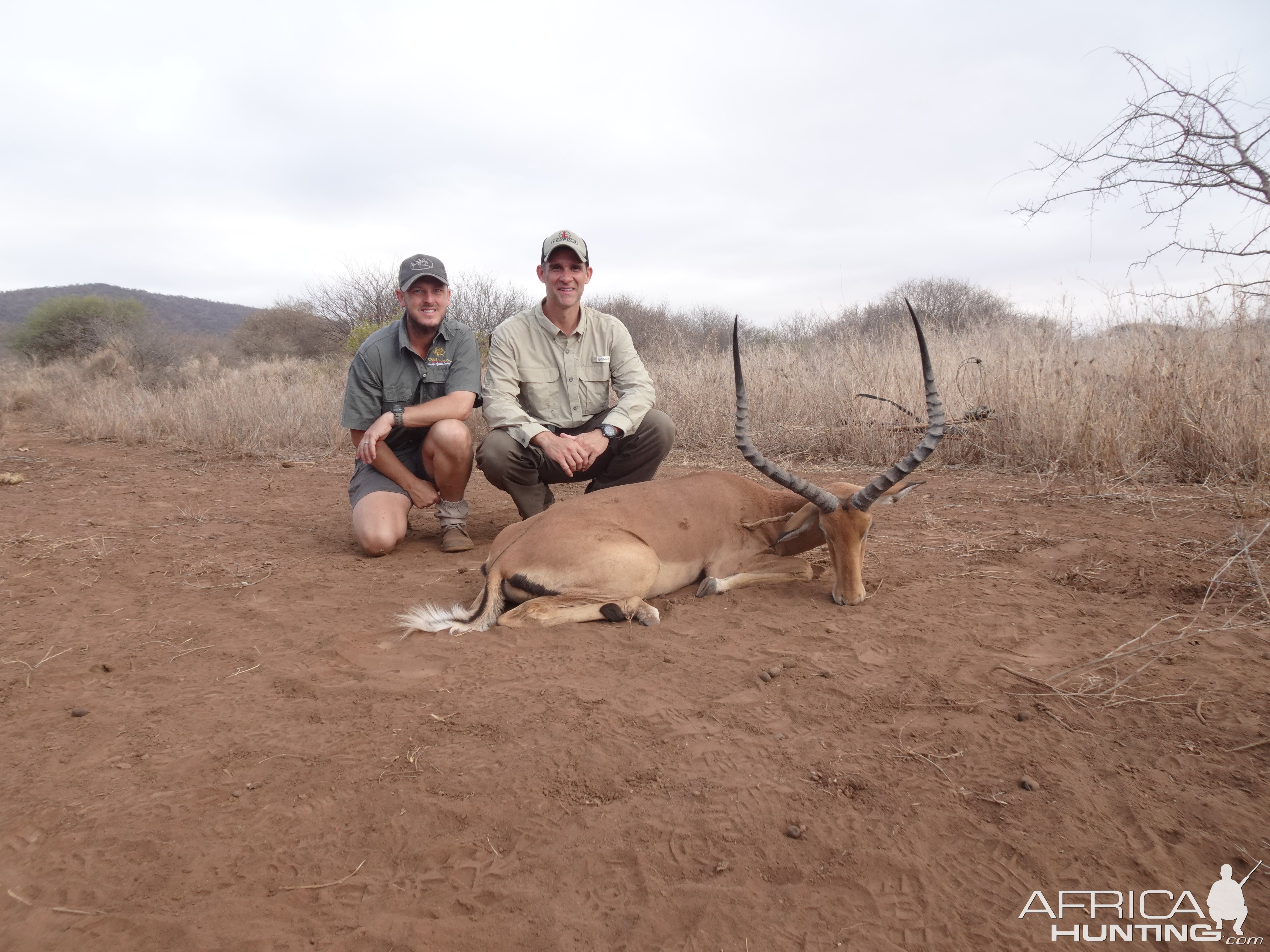 Impala Hunting Massailand