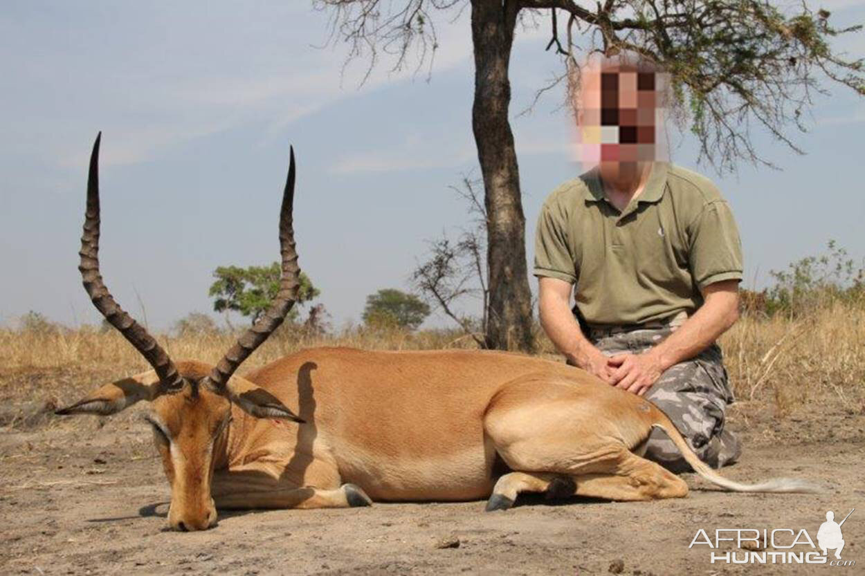 Impala Hunting Mozambique