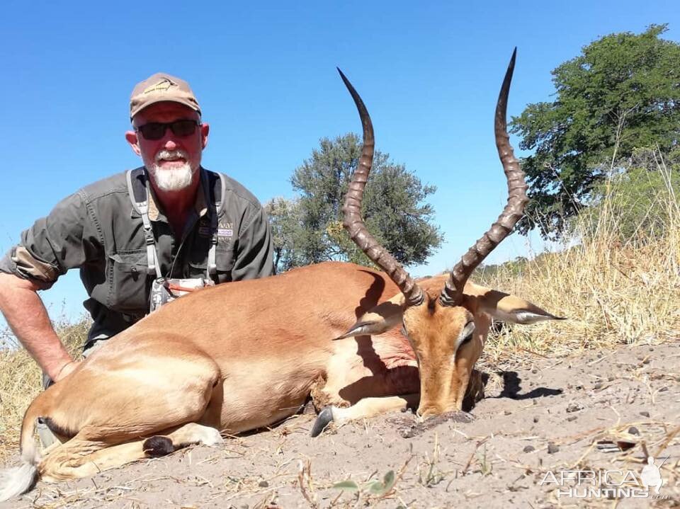 Impala Hunting Namibia