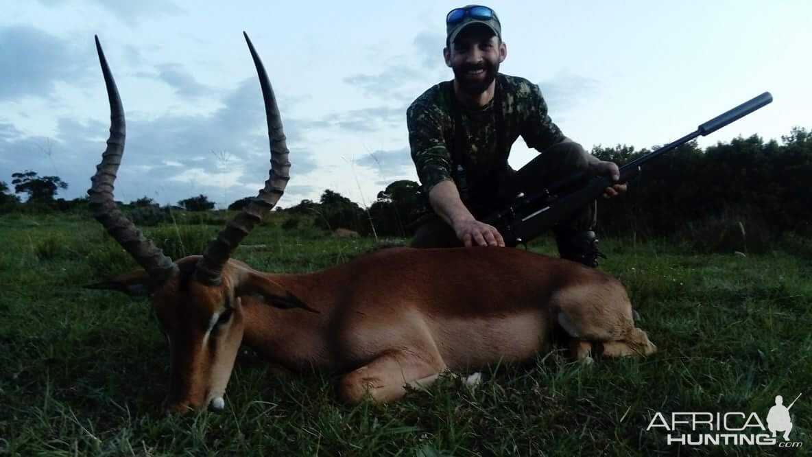 Impala Hunting South Africa 3S Safaris