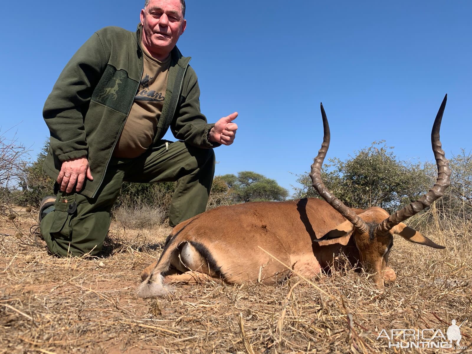 Impala Hunting South Africa