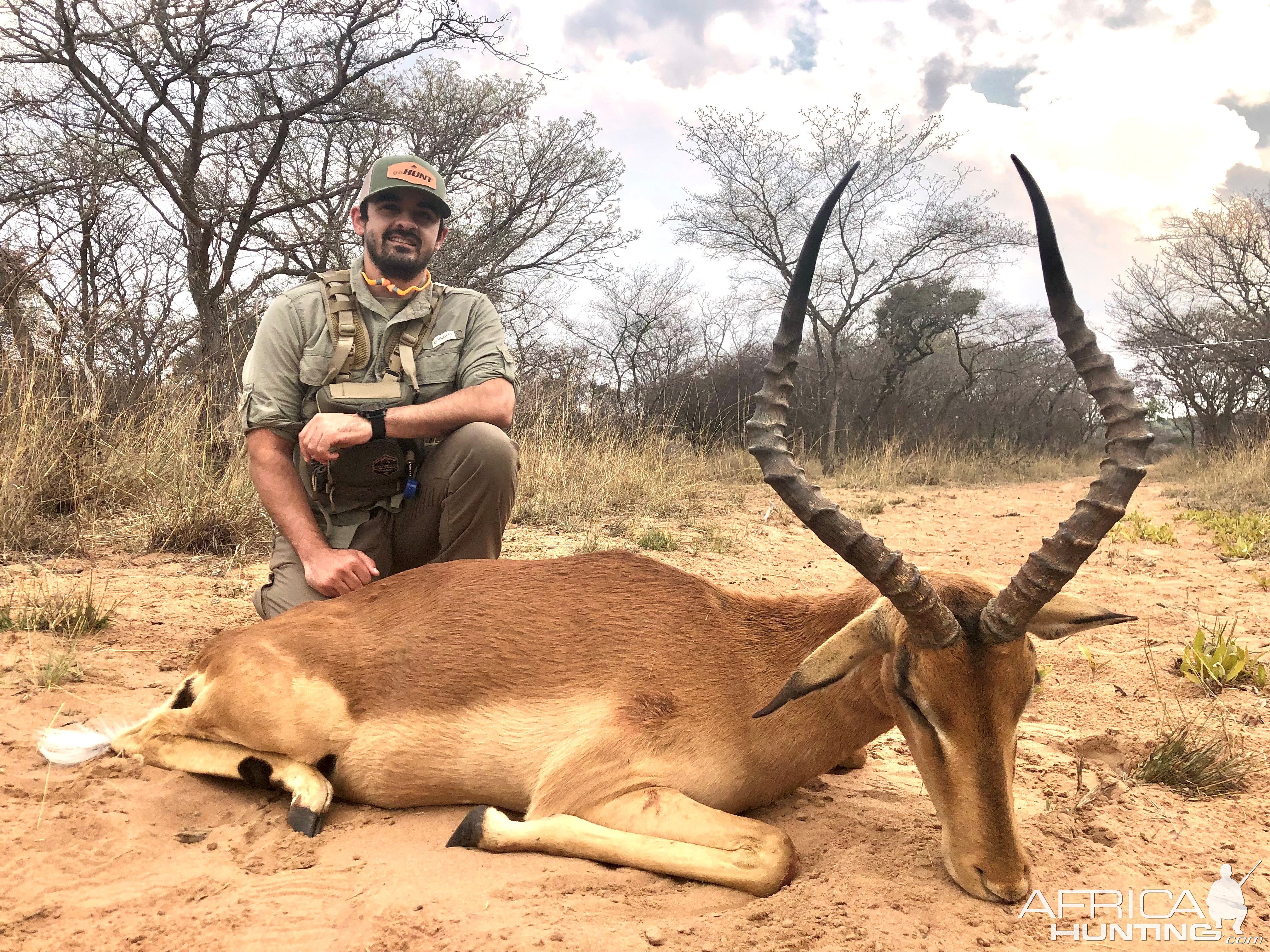 Impala Hunting South Africa