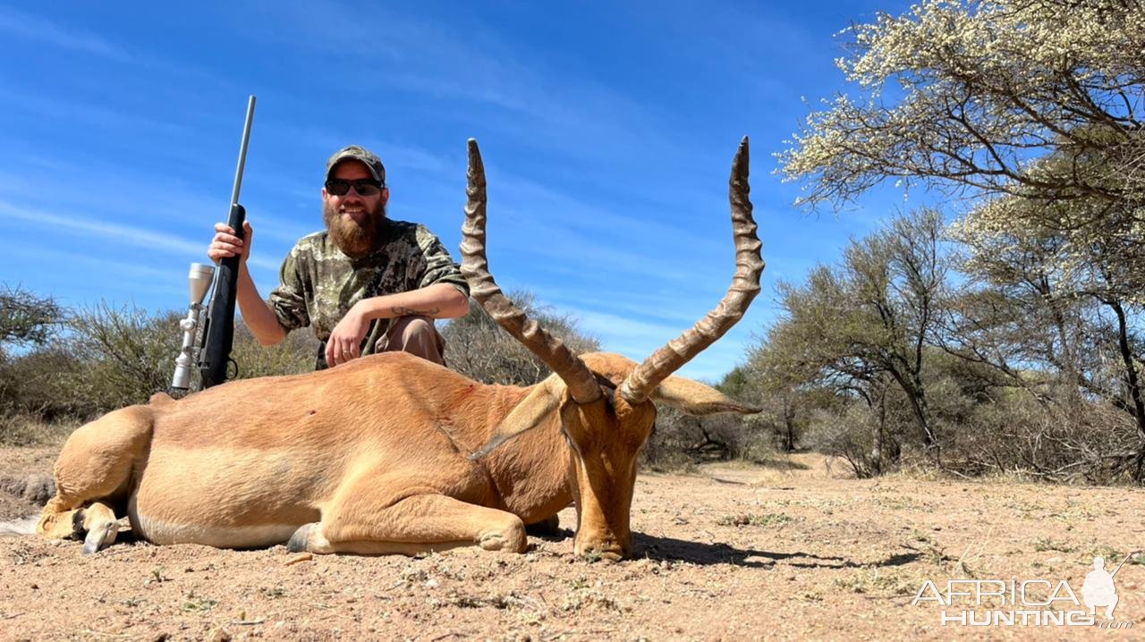 Impala Hunting South Africa