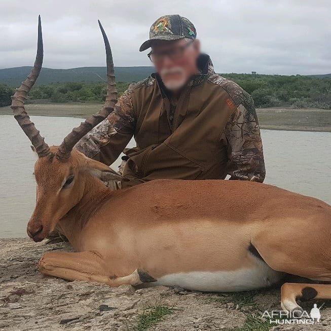 Impala Hunting South Africa