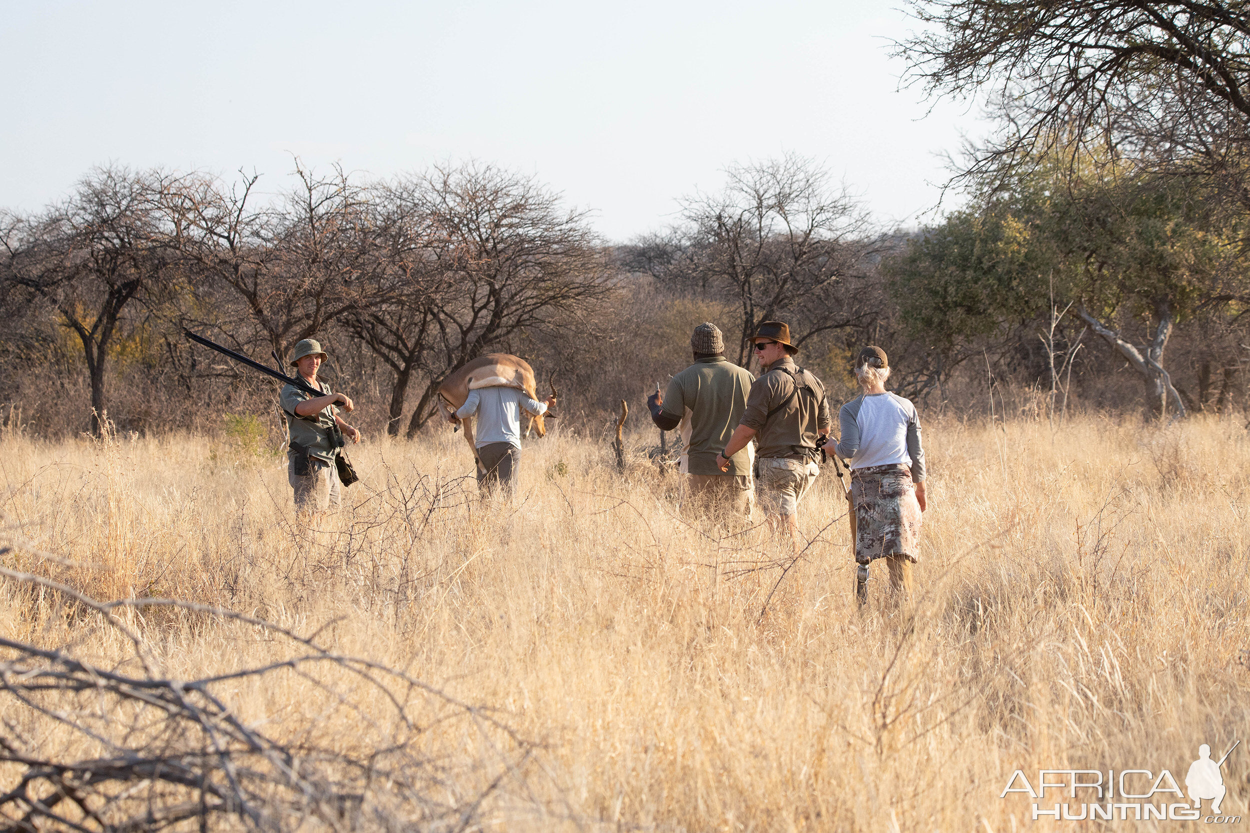 Impala Hunting South Africa | AfricaHunting.com