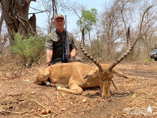 Impala Hunting Zambia