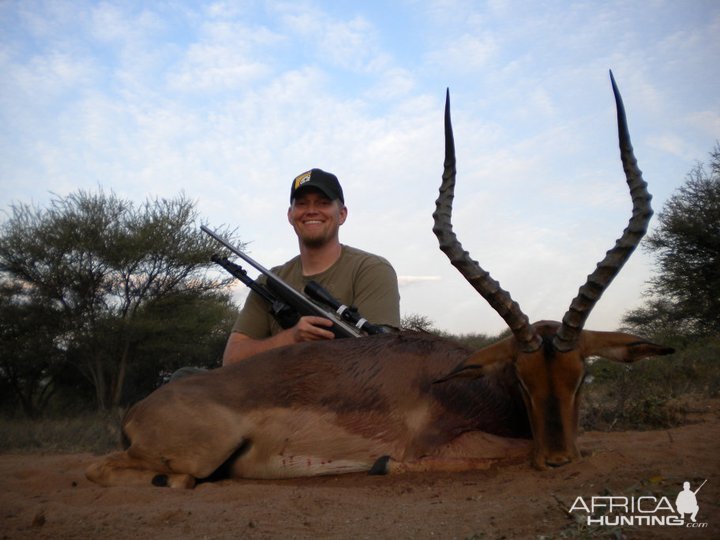 Impala Limpopo South Africa