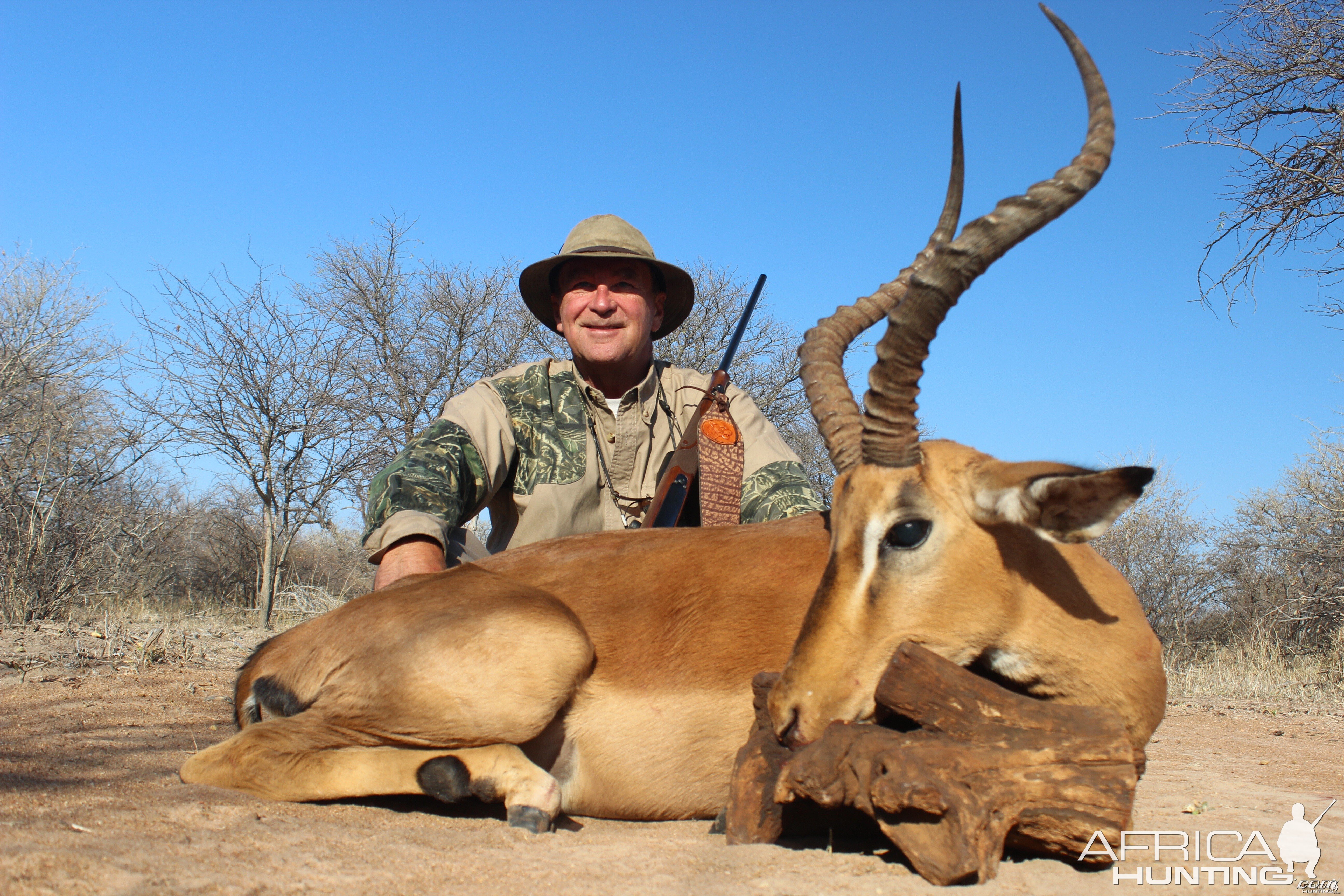 Impala, Motsomi Safaris, 7/13