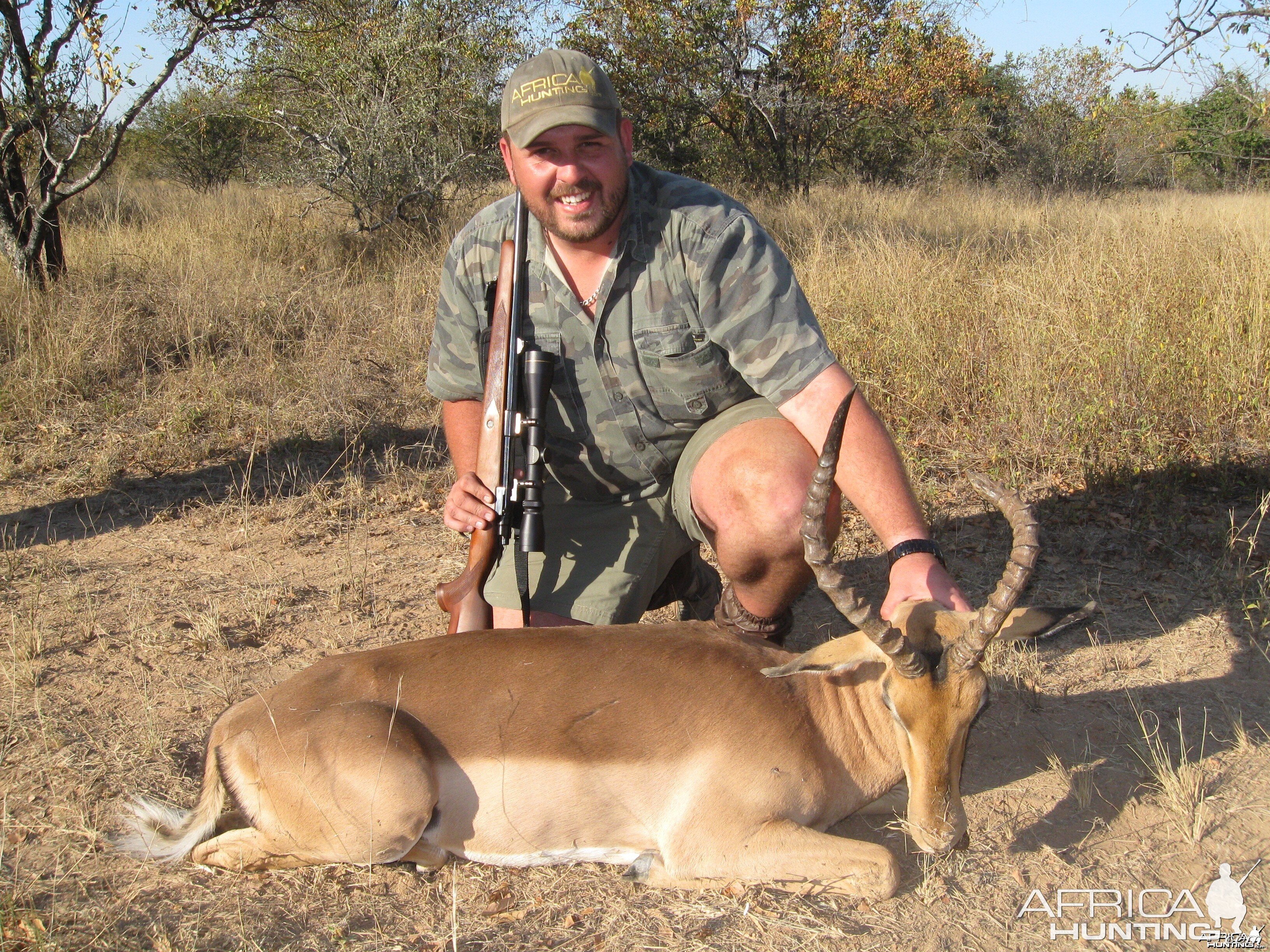 Impala with broken horn