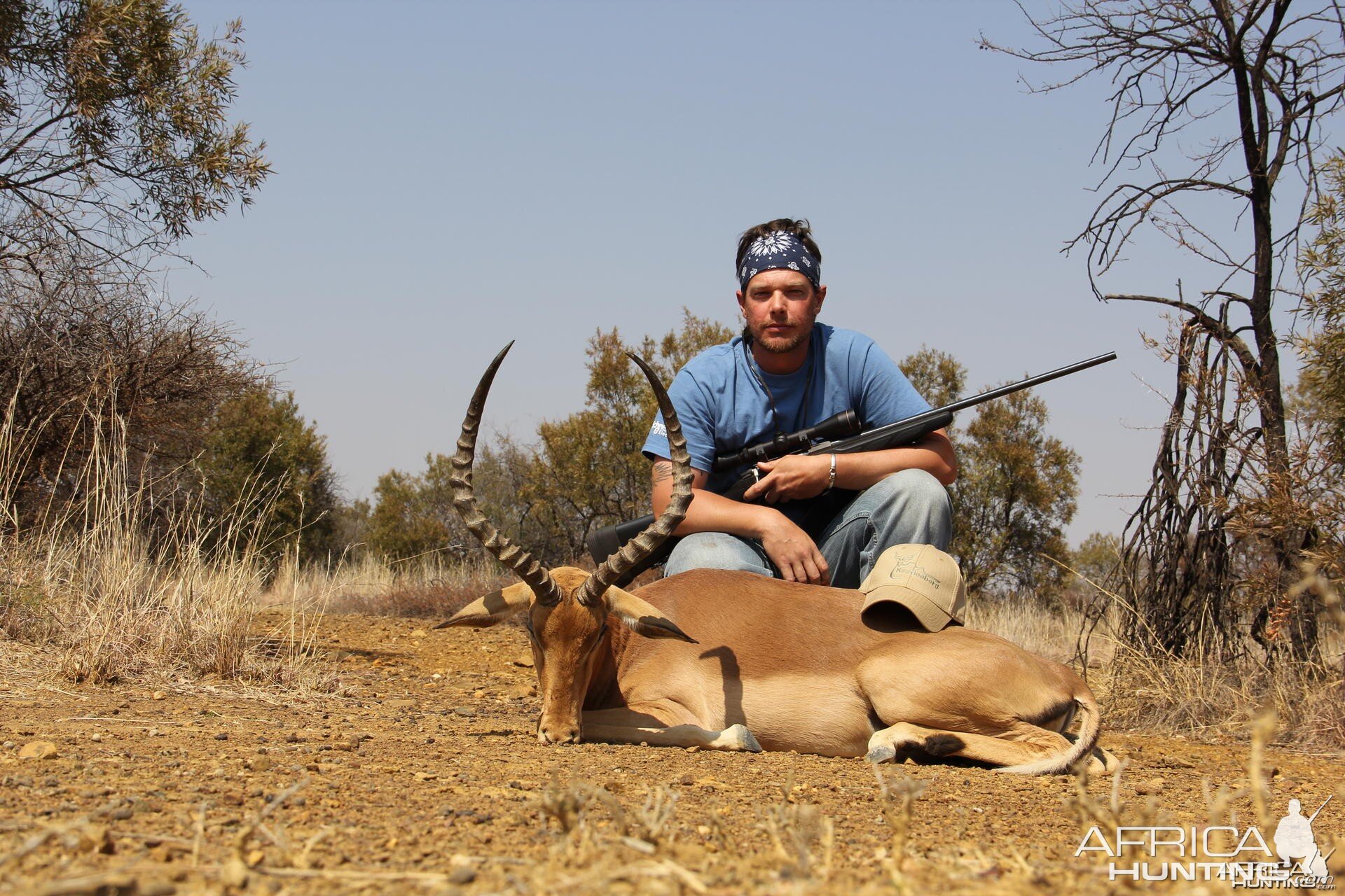 Impala