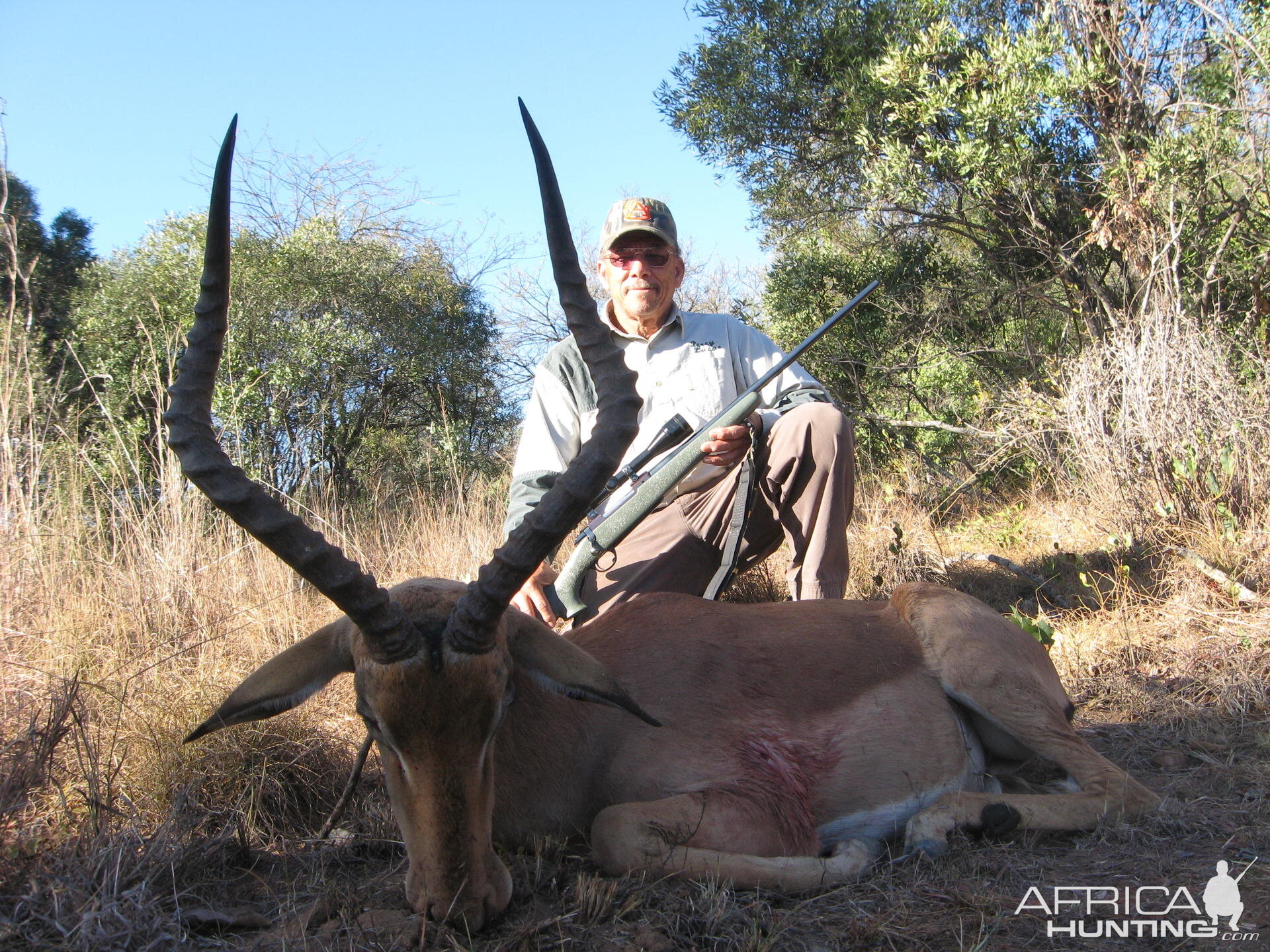 Impala