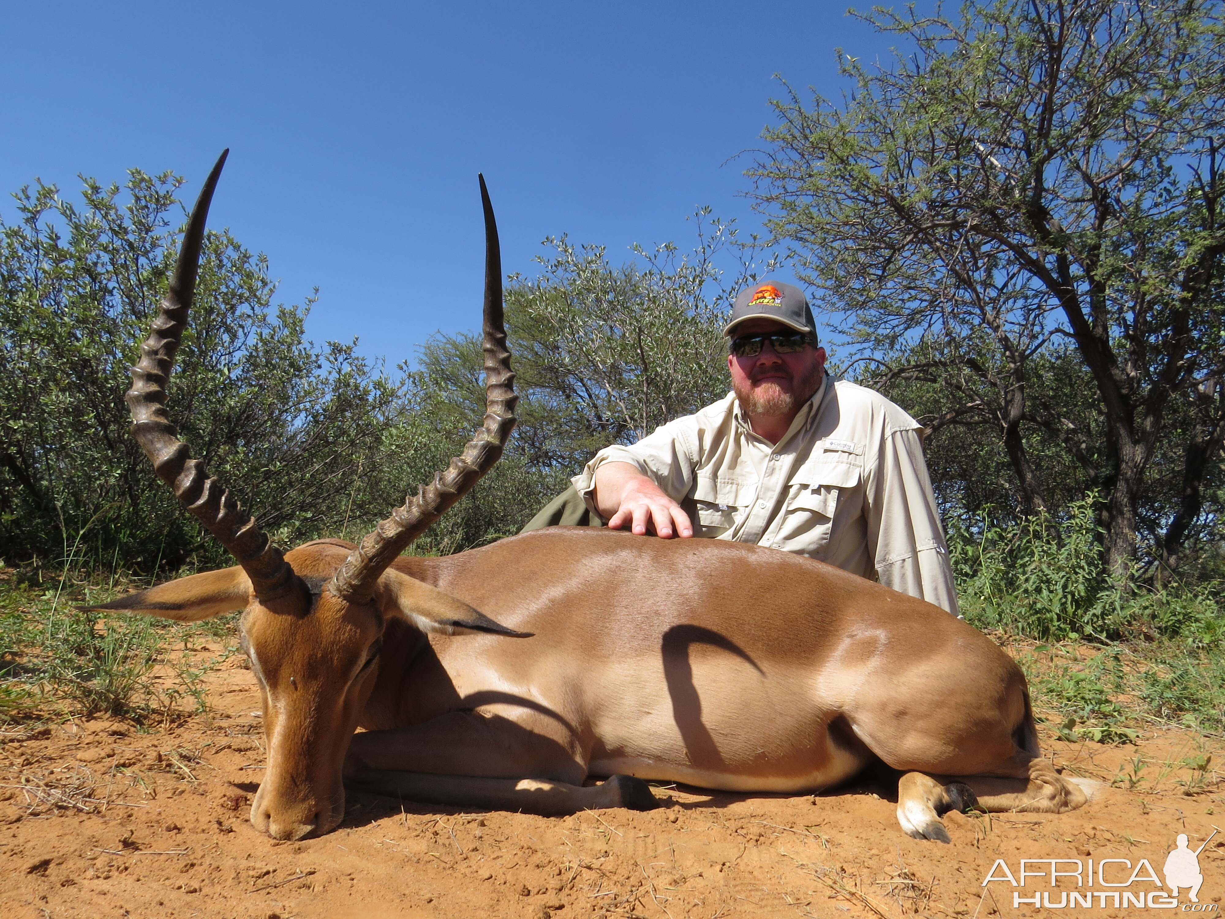 Impala