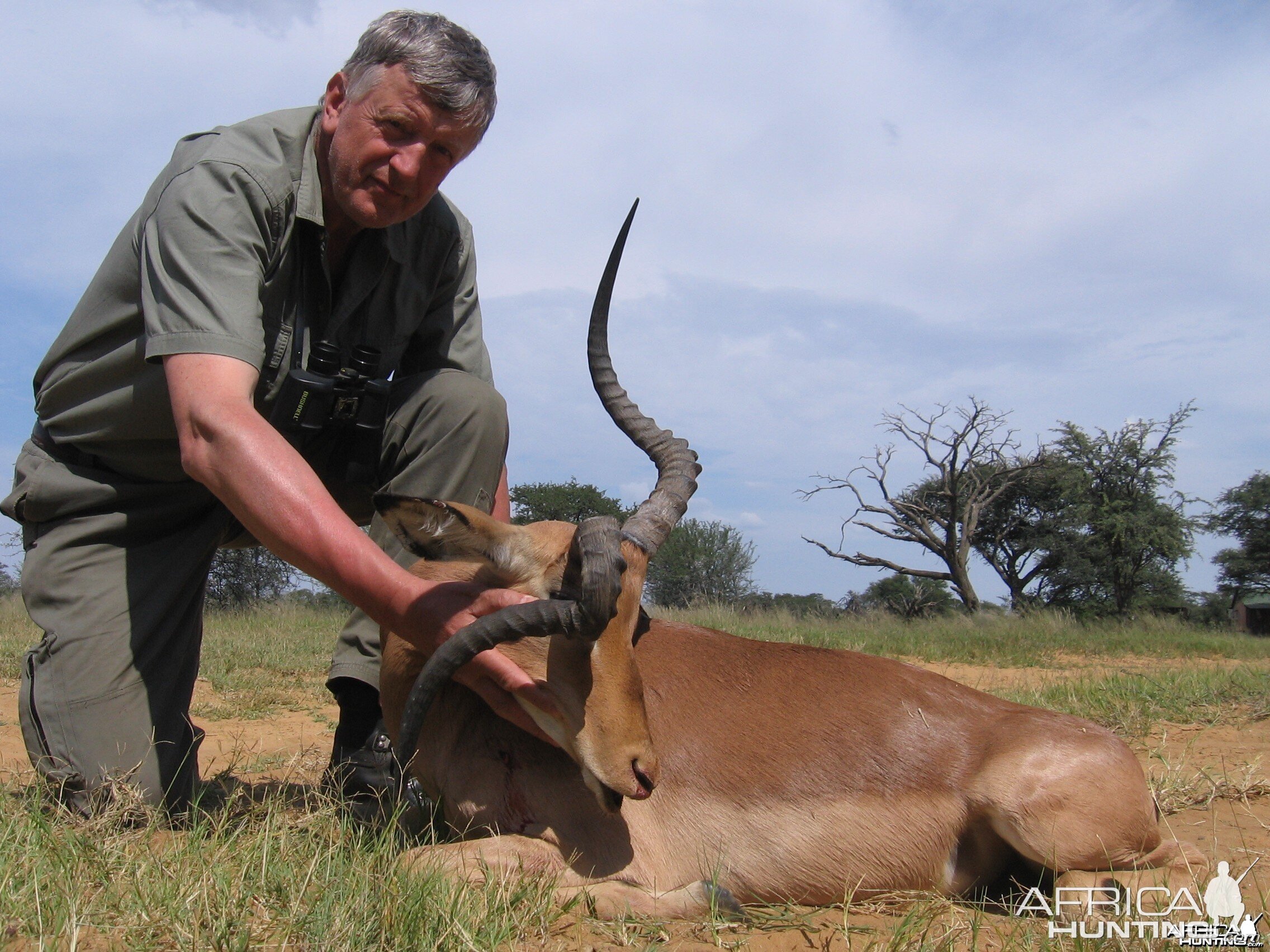 Impala