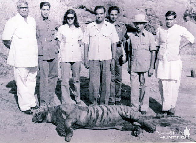 India Hunt Tiger