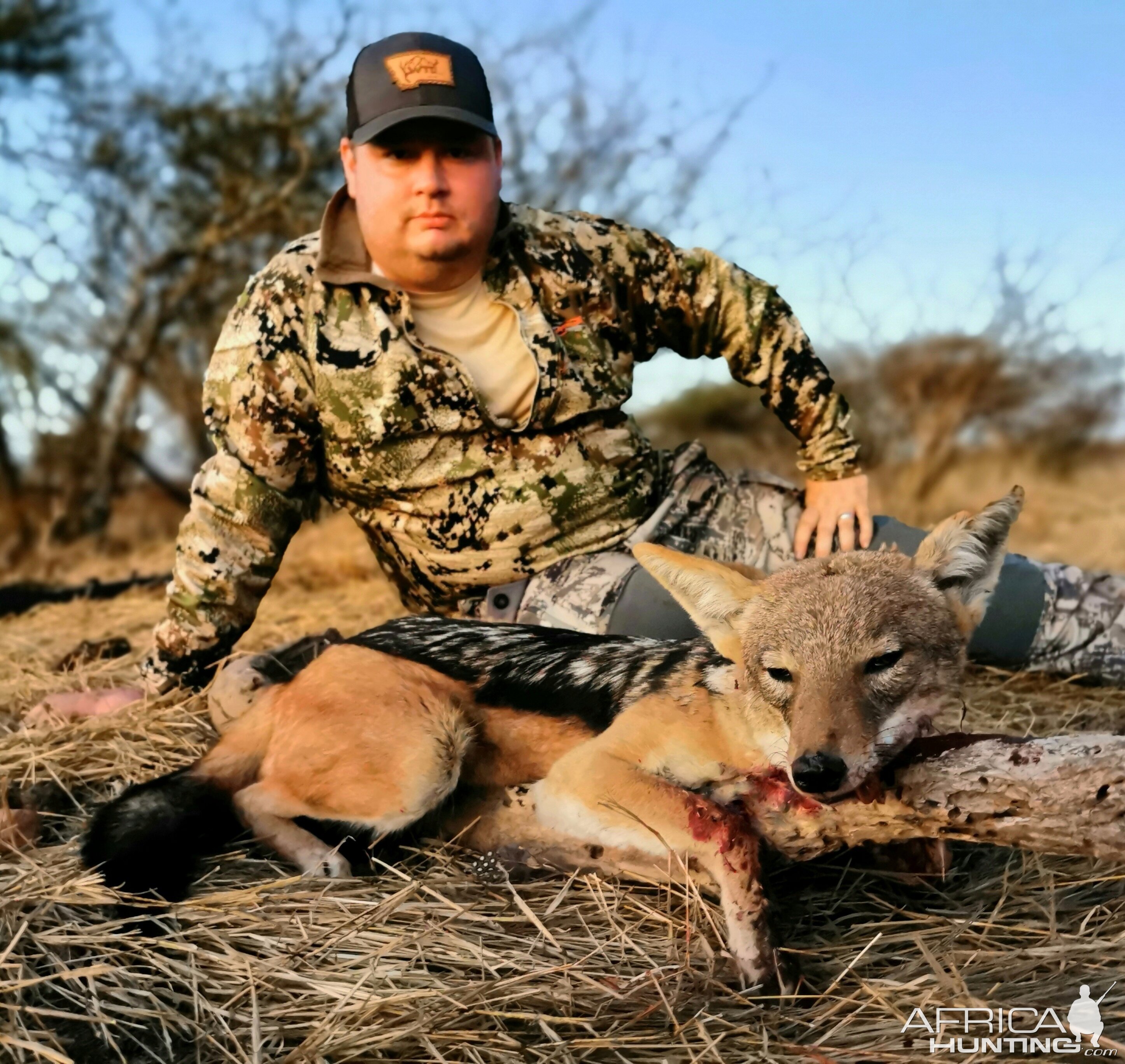 Jackal Hunt Limpopo South Africa