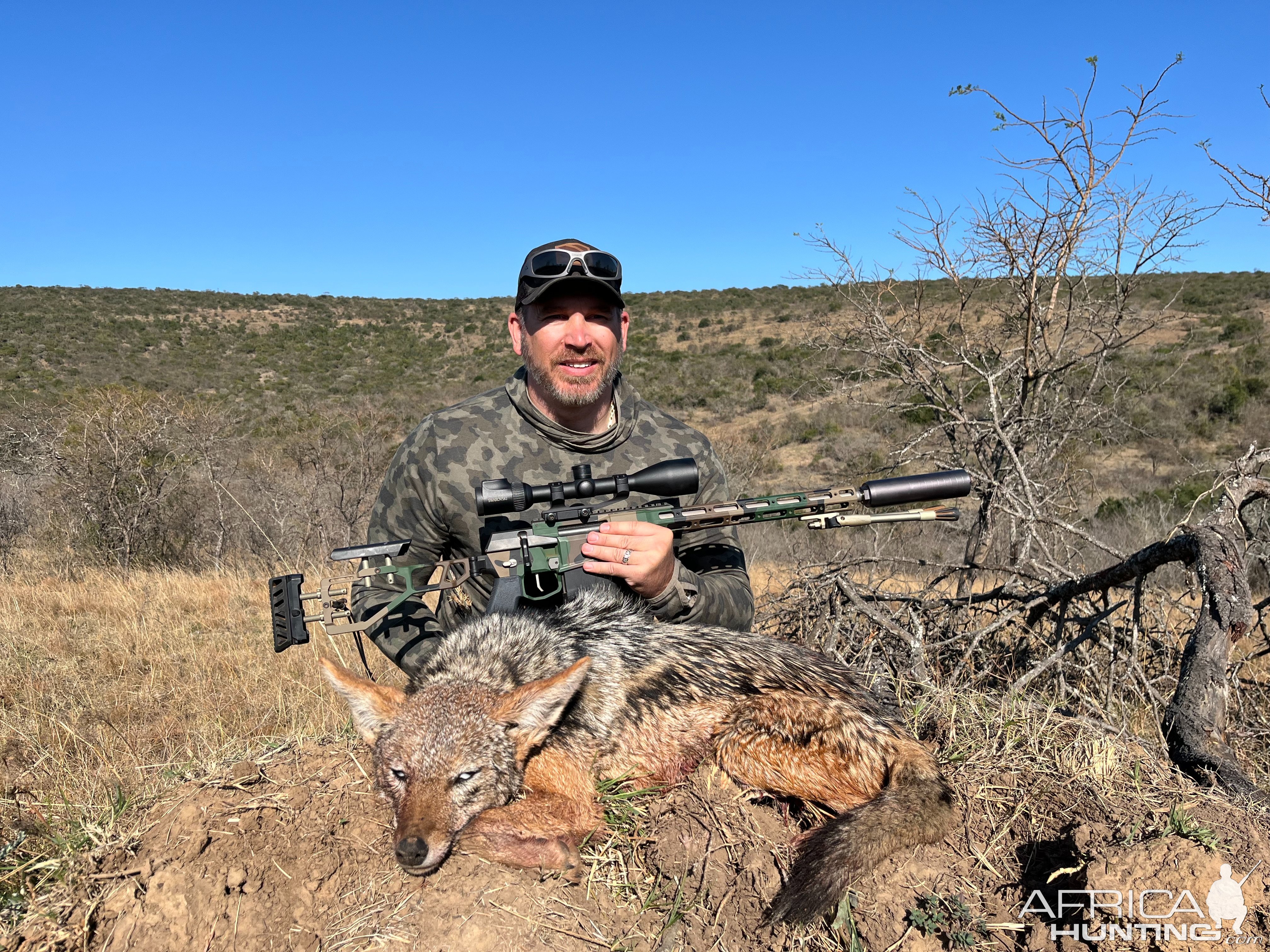 Jackal Hunt South Africa