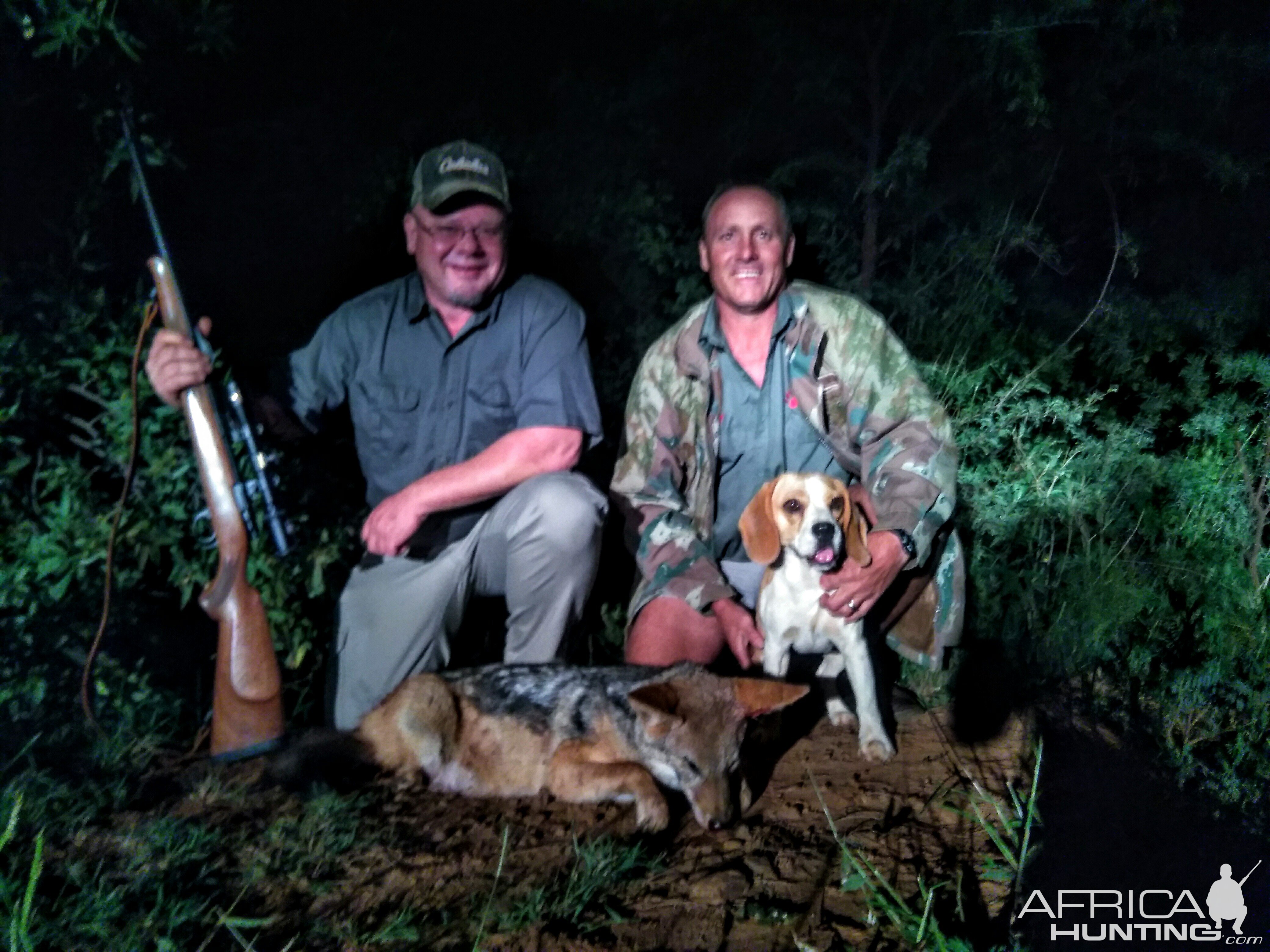 Jackal Hunt South Africa