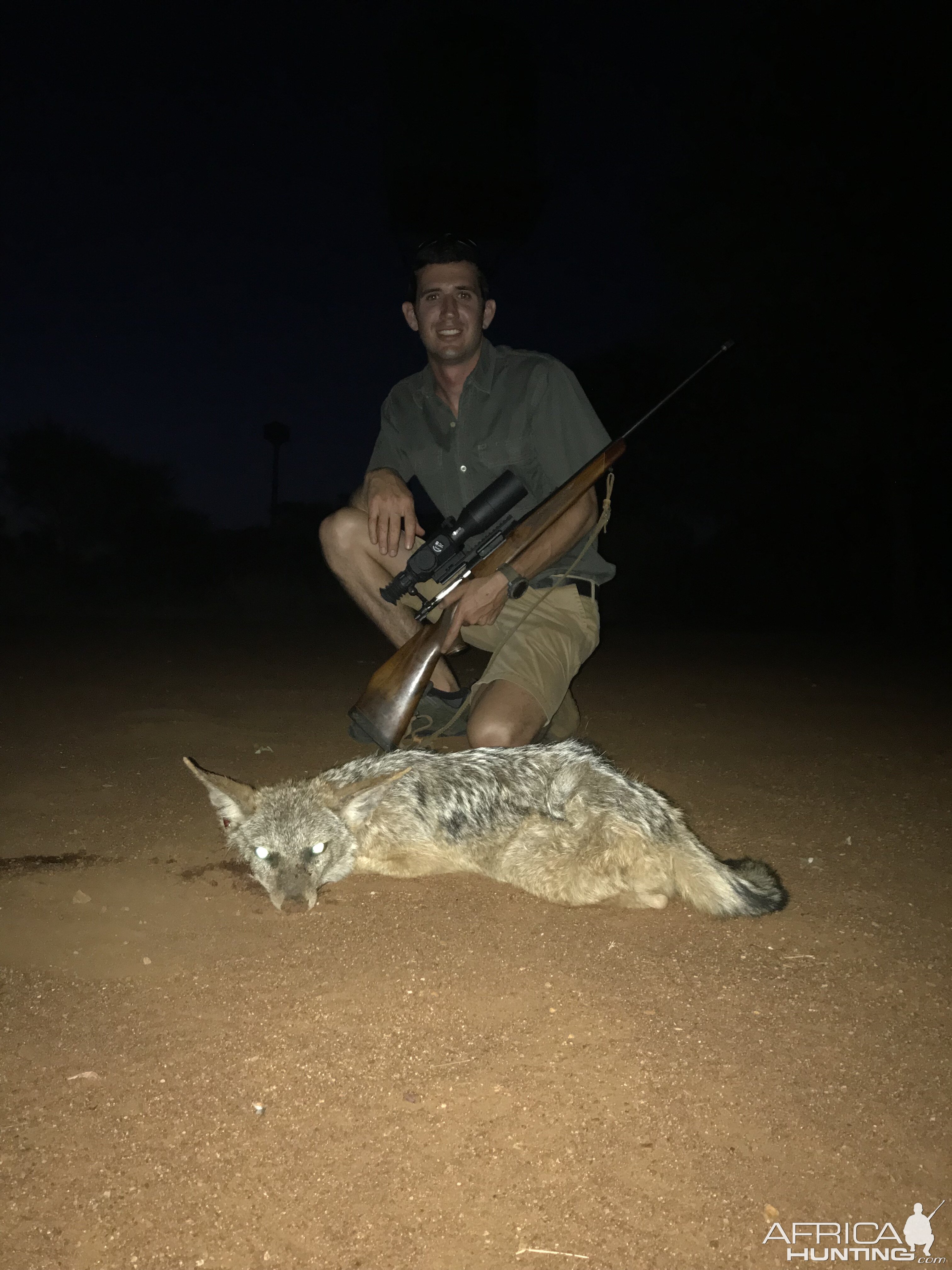 Jackal Hunt South Africa