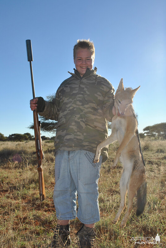 Jackal hunt with Wintershoek Johnny Vivier Safaris