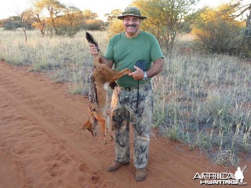 Jackal hunt with Wintershoek Johnny Vivier Safaris