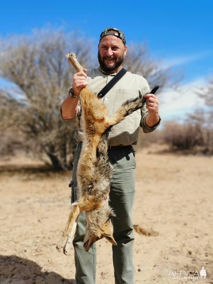 Jackal Hunting Botswana