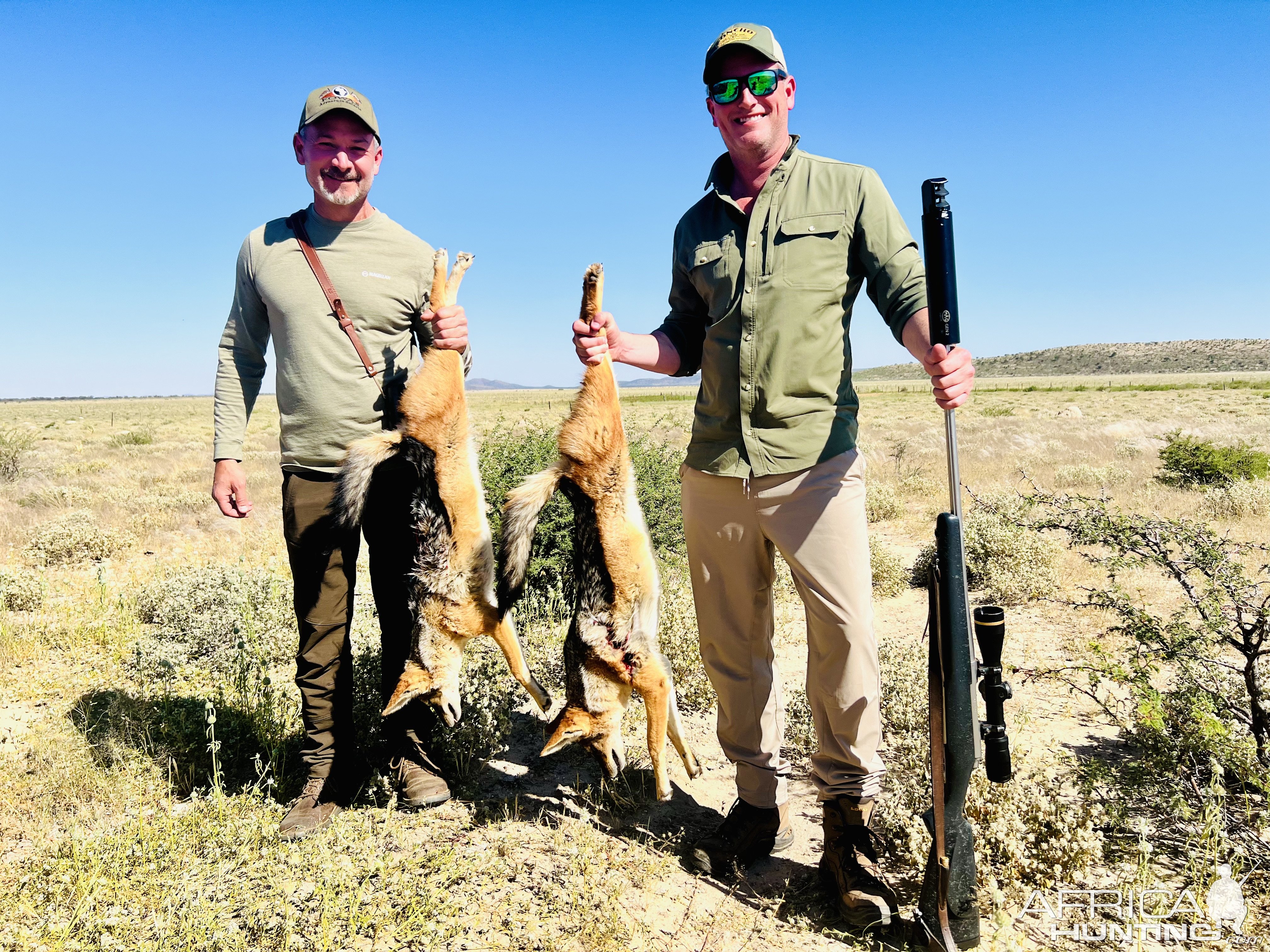 Jackals Hunt Namibia