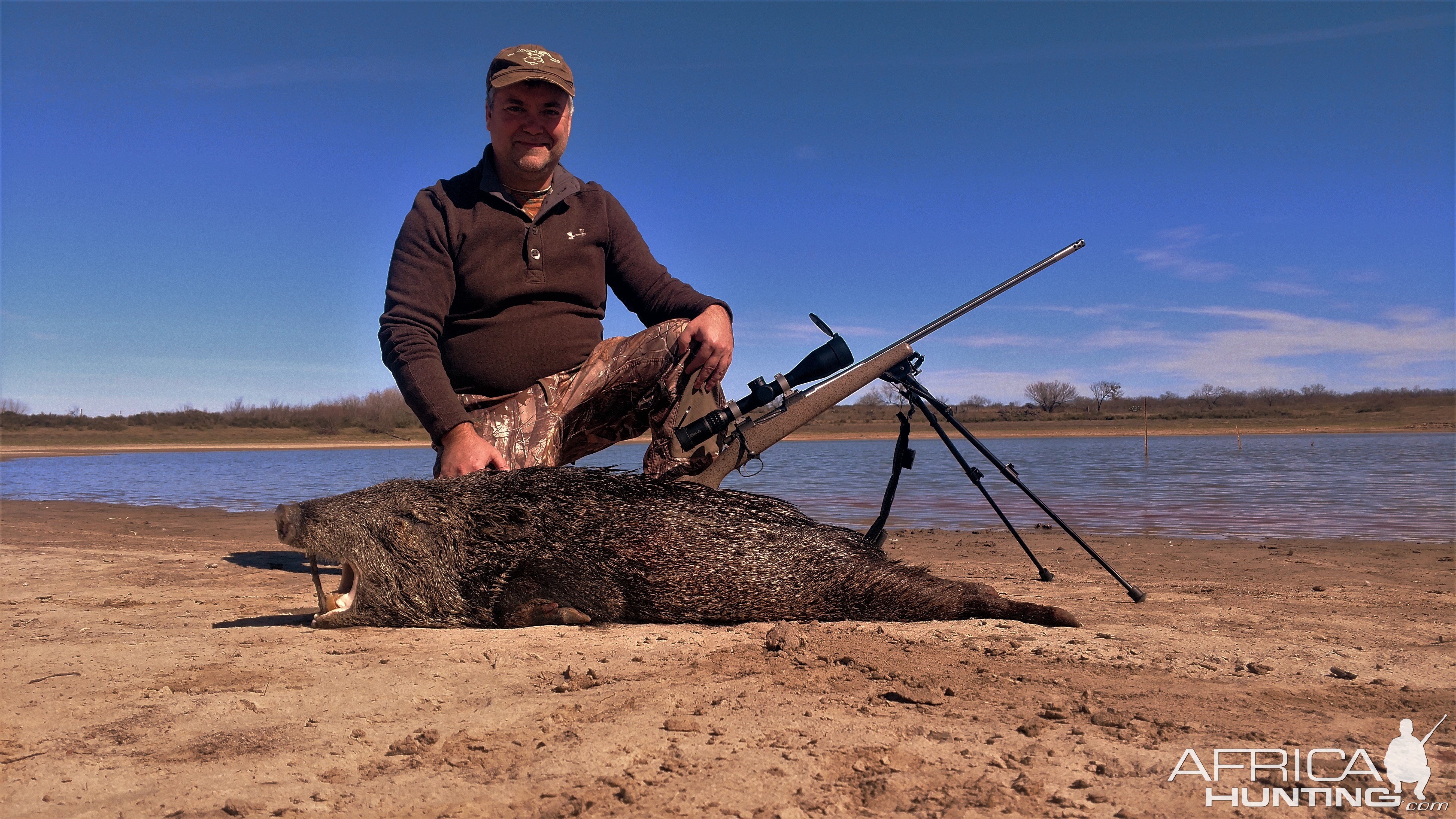 Javelina Hunt Texas