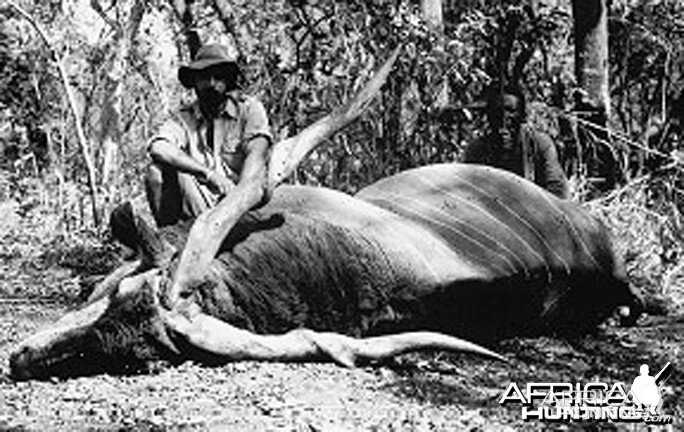 Jorge Alves de Lima, Professional Hunter, with Lord Derby Eland