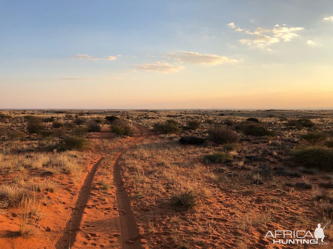 Kalahari Moments