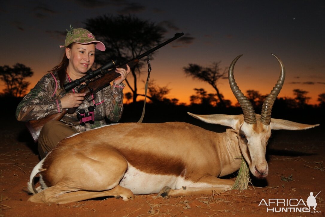 Kalahari South Africa Hunting Springbok