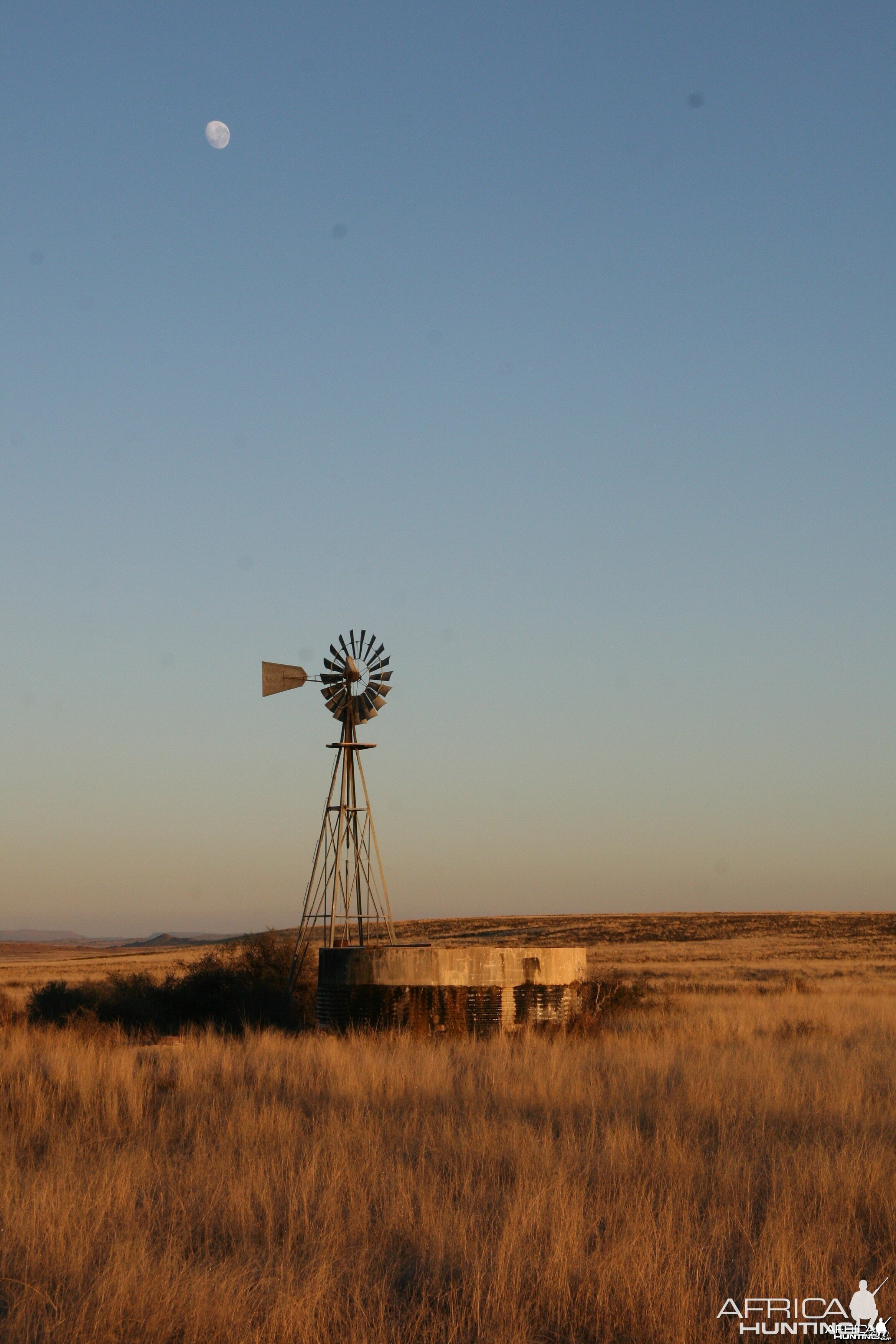 Karoo Windmill