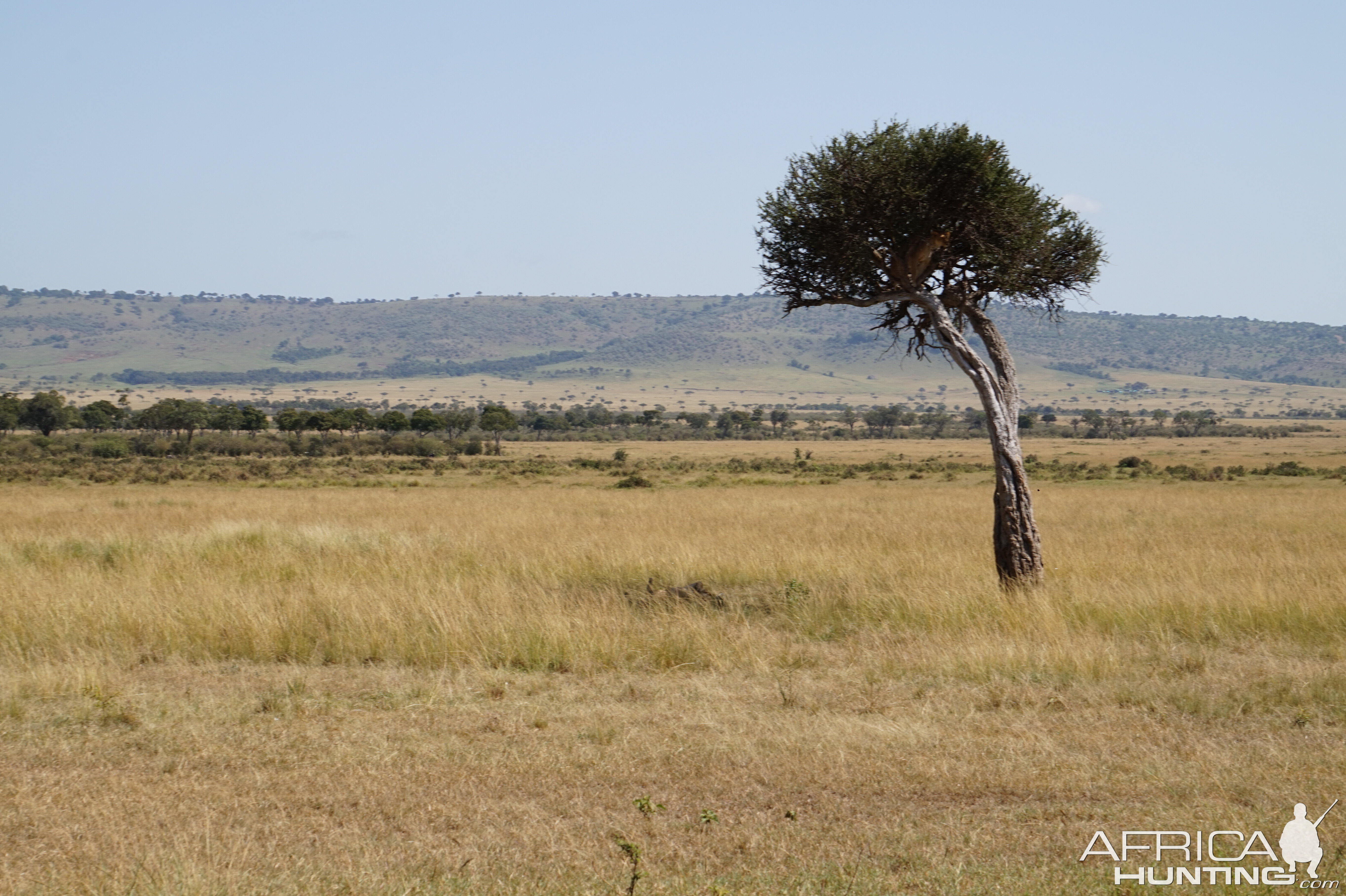 Kenya Maasai Mara Photo Safari