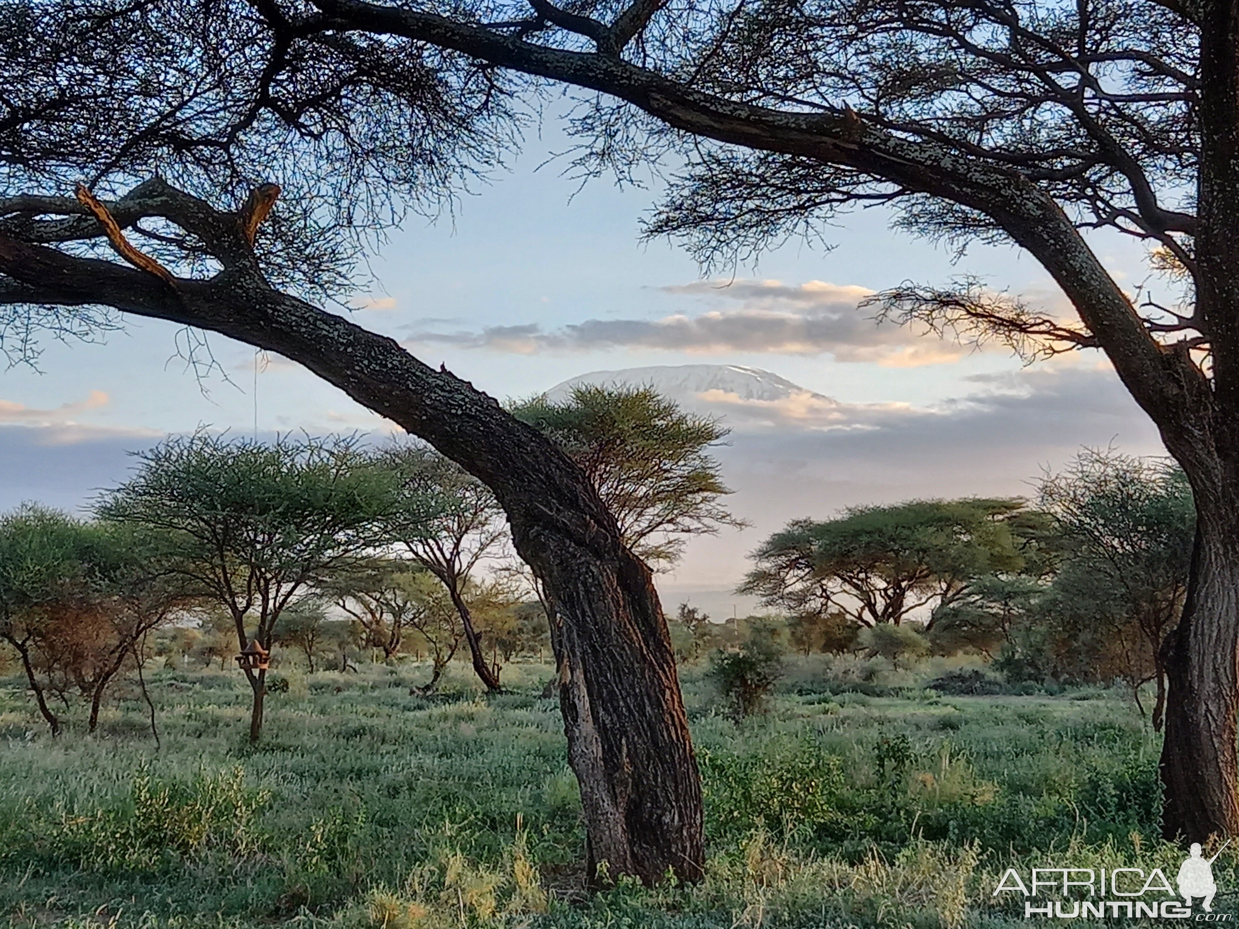 Kenya Nature