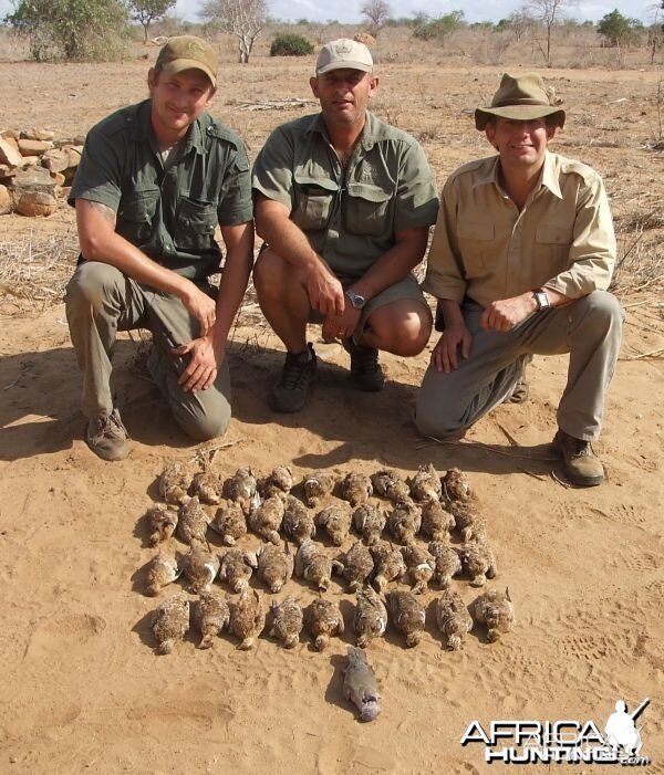 Kenya Sandgrouse Shooting