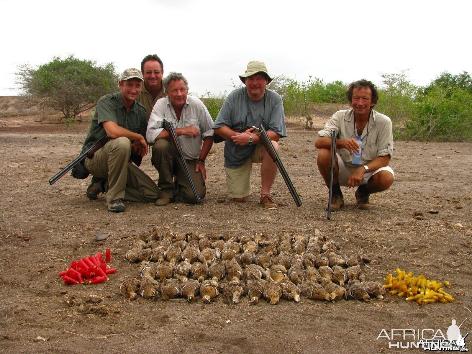 Kenya Sandgrouse Shooting