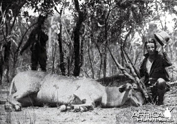 Kermit Roosevelt first giant eland shot on the Redjaf trip