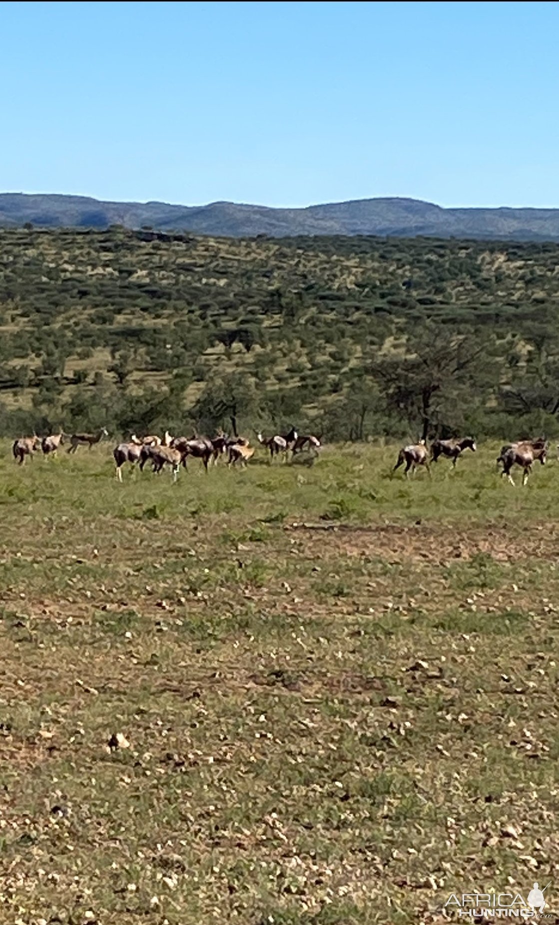 Khomas Hochland Highlands Namibia