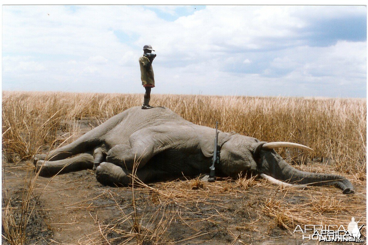 Kilombero Tusker