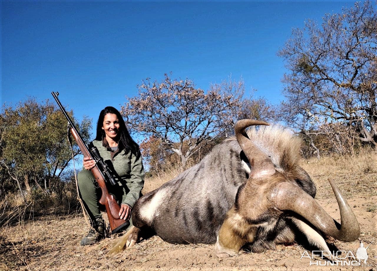 Kings Wildebeest Hunt South Africa