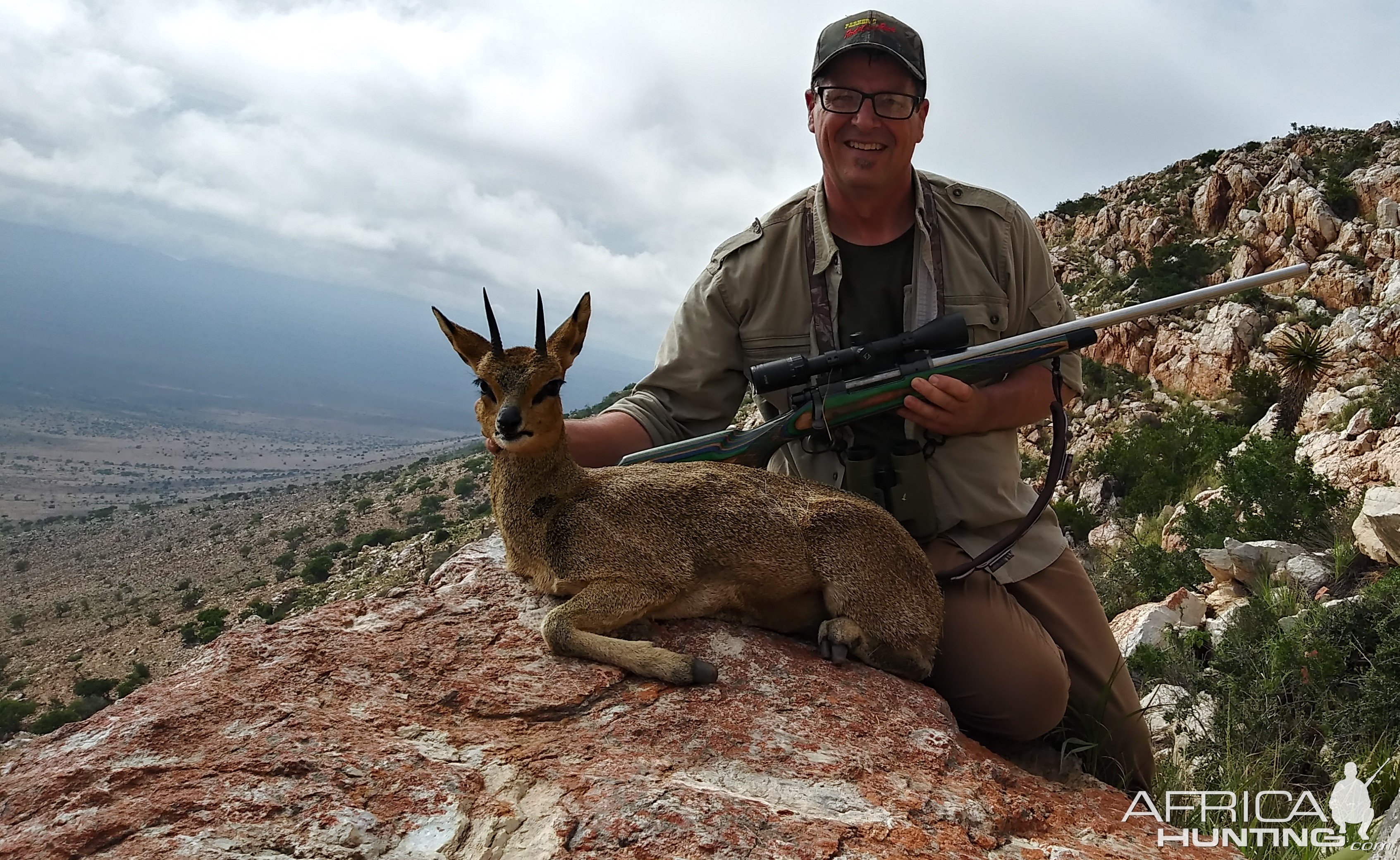 Klipspringer Hunt Karoo South Africa