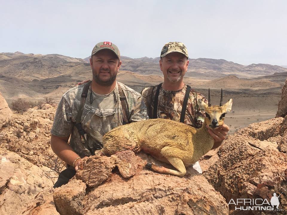 Klipspringer Hunt Namibia