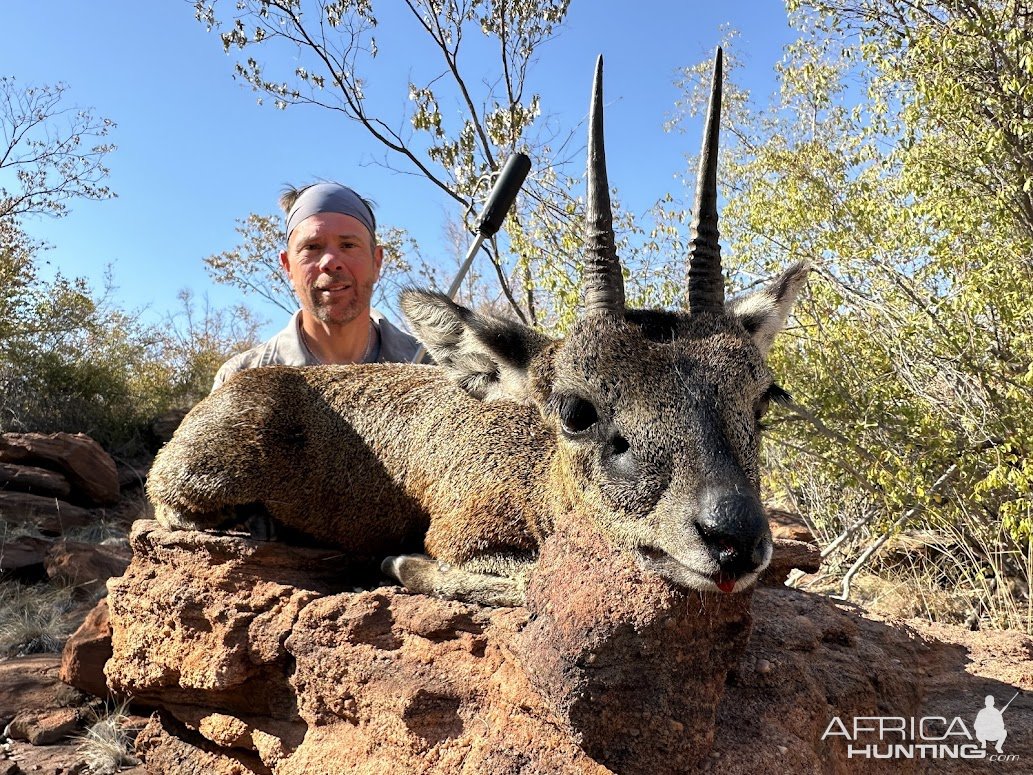 Klipspringer Hunt South Africa