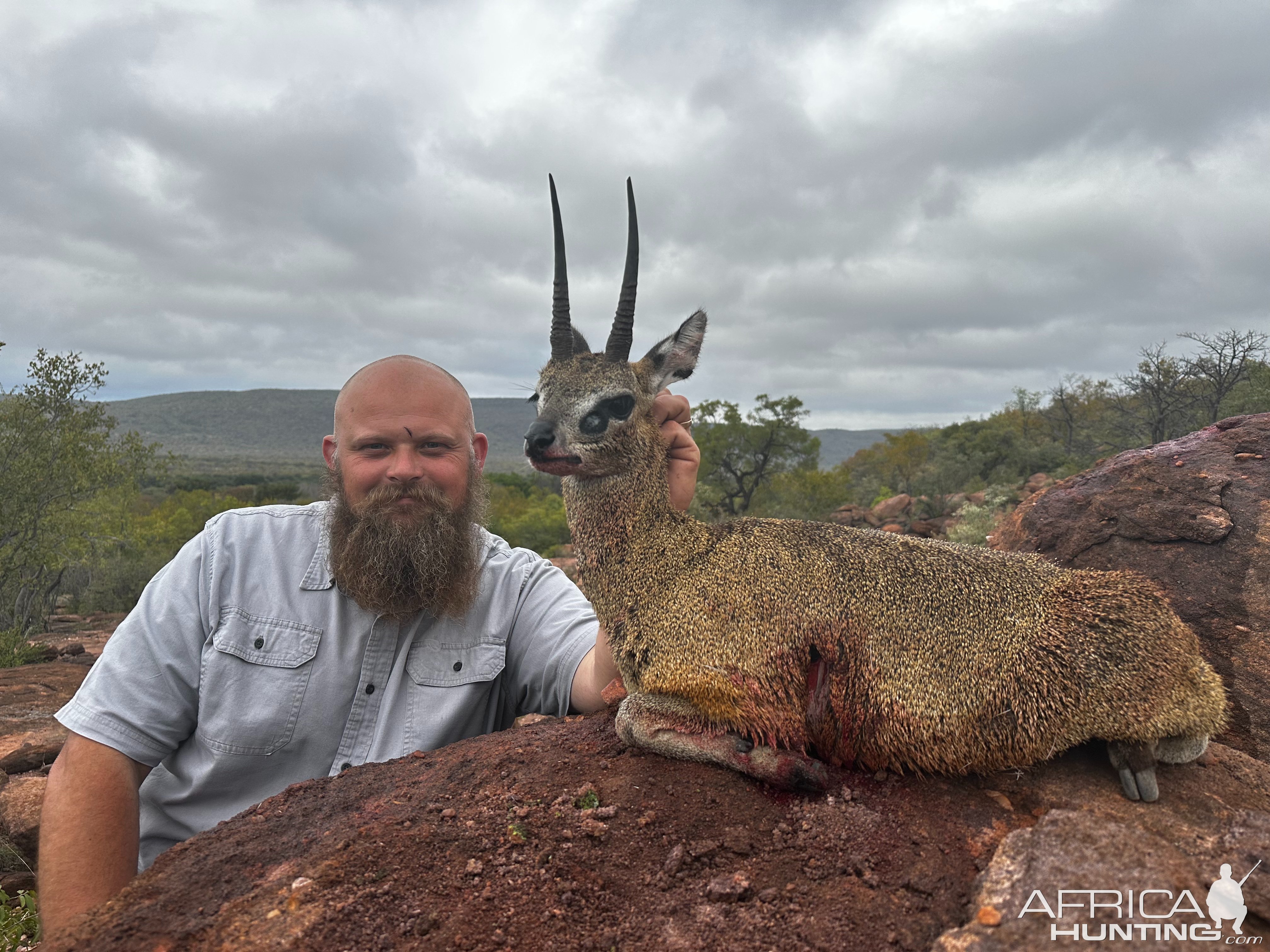 Klipspringer Hunt South Africa