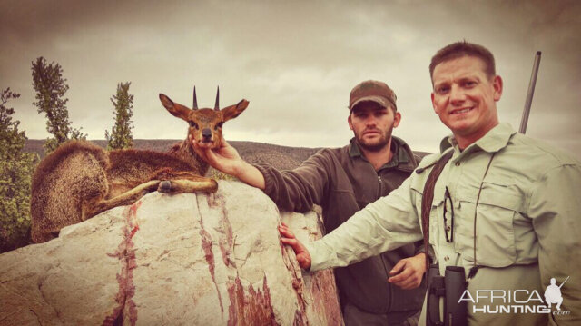 Klipspringer Hunt South Africa