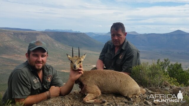 Klipspringer Hunt South Africa