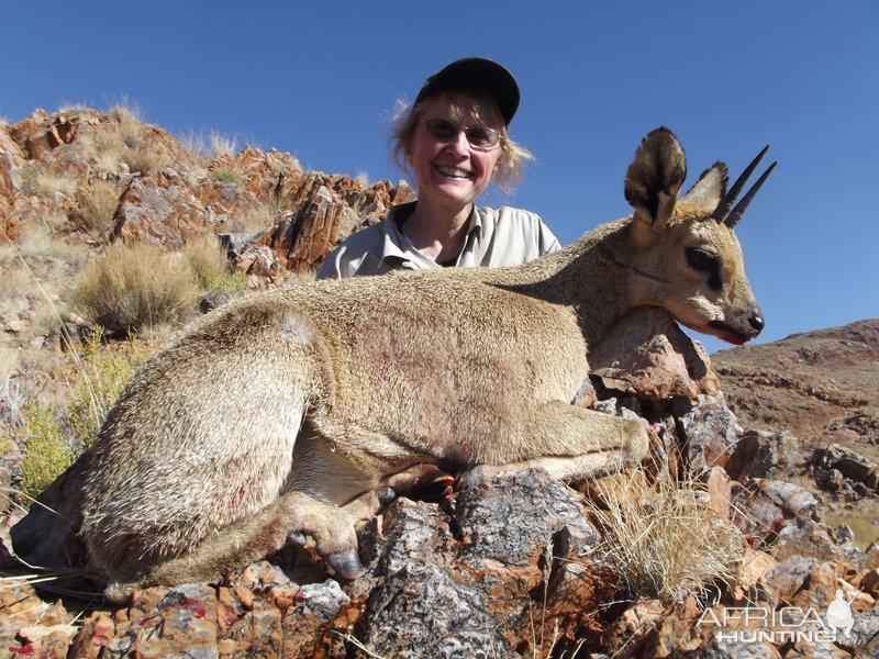 Klipspringer hunt with Wintershoek Johnny Vivier Safaris