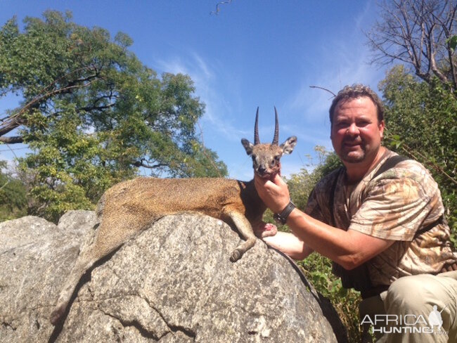 Klipspringer Hunt Zimbabwe