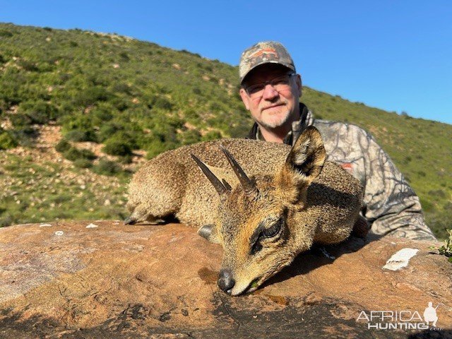 Klipspringer Hunt