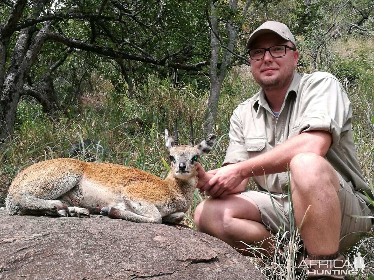 Klipspringer Hunt